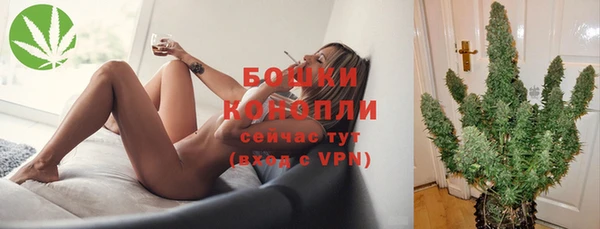 ГАЛЛЮЦИНОГЕННЫЕ ГРИБЫ Беломорск