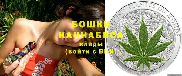 дурь Белокуриха